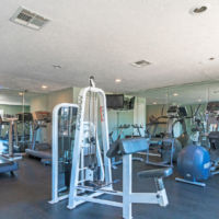 carlton-arms-of-magnolia-valley-new-port-richey-fl-fitness-center