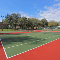 carlton-arms-of-magnolia-valley-new-port-richey-fl-sports-courts-for-all